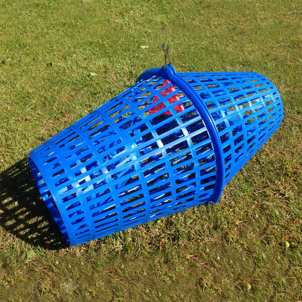 cray fish net GTHFINE EEL Trap, Crayfish Trap, Crayfish Traps for Lakes, Minnow Trap Plastic, Durable Plastic Container Supplies Black (Black) : Sports & Outdoors by 19 in How to modify a crayfish