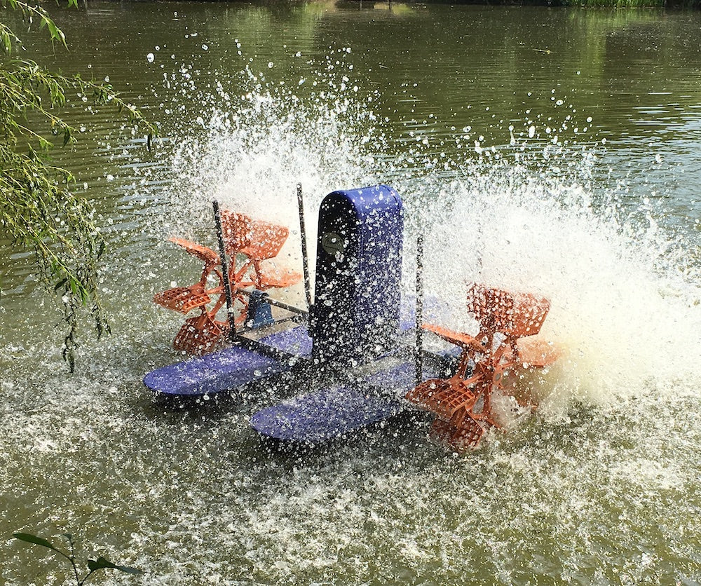 Paddle Wheels