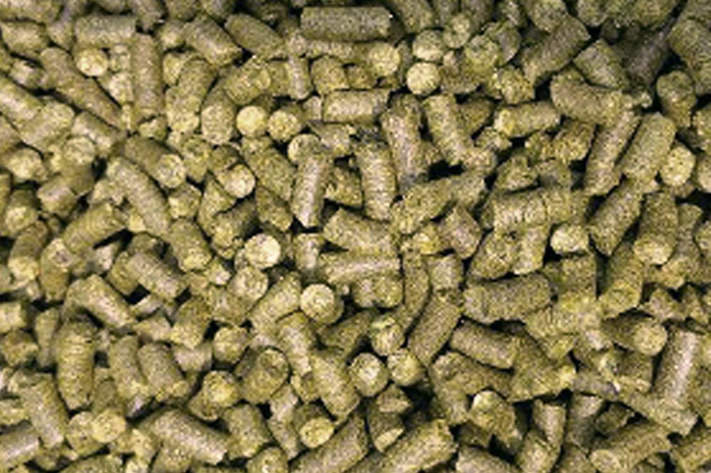 Fish Food