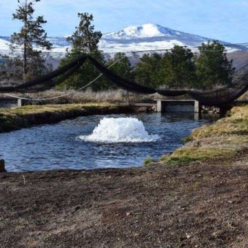 Kasco Surface Aerator - 0