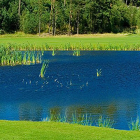 Brandt Blue Lagoon Pond & Lake Dye