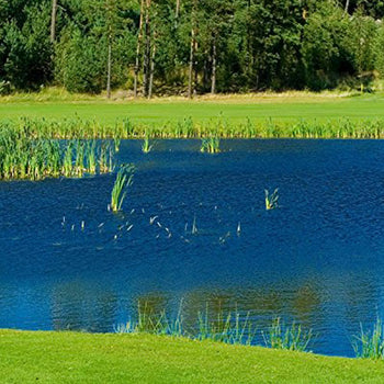Brandt Blue Lagoon Pond & Lake Dye