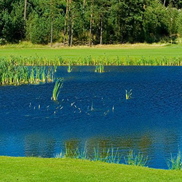Brandt Blue Lagoon Pond & Lake Dye