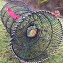 Collapsible Mesh Crayfish Trap