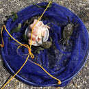 Crab Fishing Drop Net