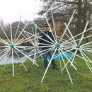 Hedgehog Fish Refuge