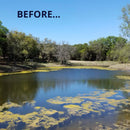 Nature's Pond Conditioner