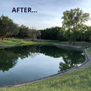 Nature's Pond Conditioner