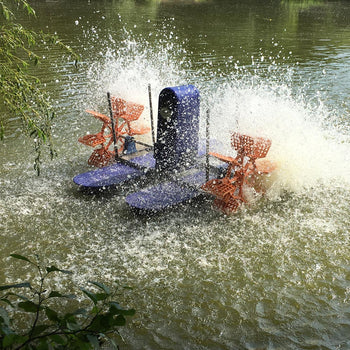 Paddle Wheel Aerator