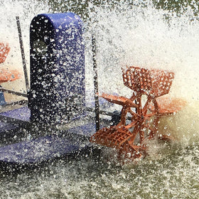 Paddle Wheel Aerator