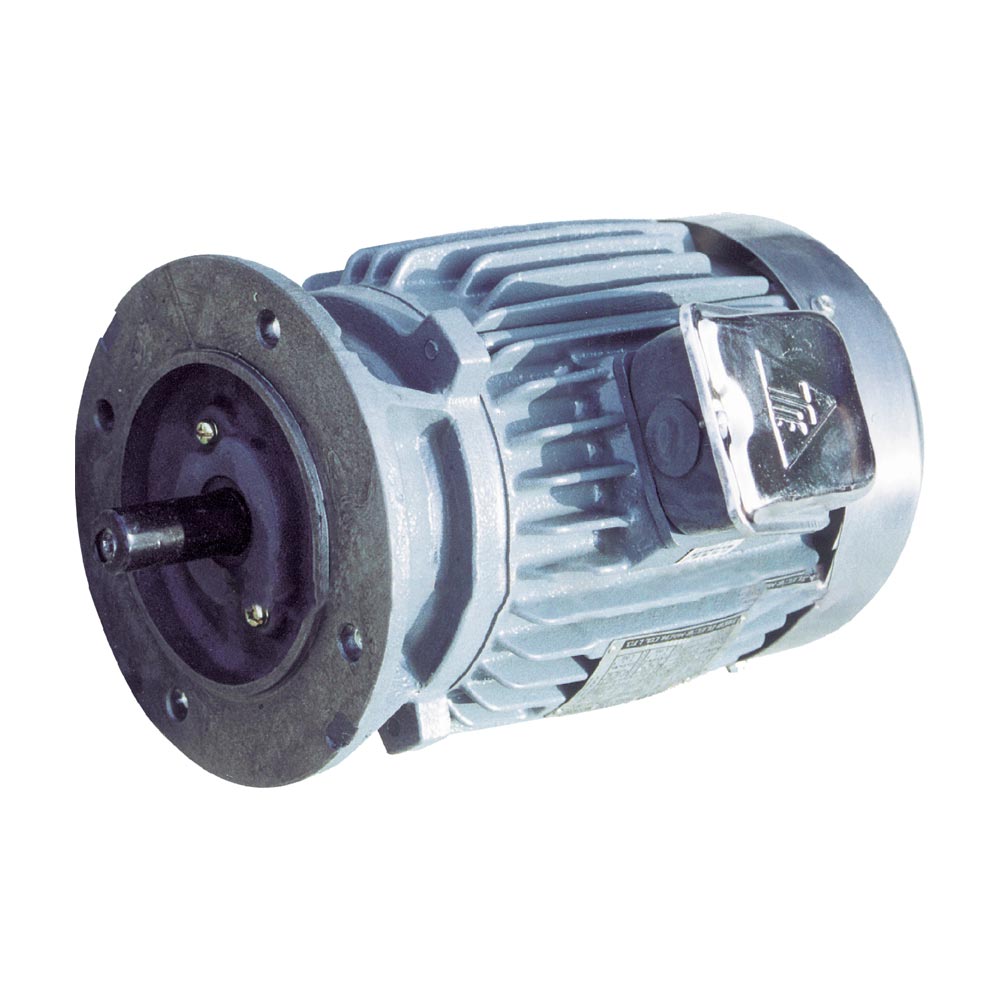 Single Phase Motor